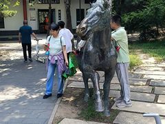 -元大都城垣遗址公园