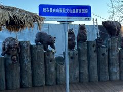 -长白山聚龙火山温泉