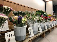 鲜花-鹿岛会员店 (龙湖三千集天街店)