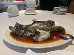 清蒸石斑鱼-利苑酒家(华熙国际店)