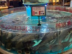 -魏铭鱼头捞饭(晋阳路店)