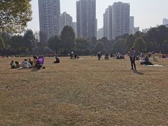 -重庆彩云湖湿地公园