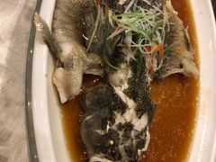 -高老庄绿色传奇(昊元生活广场店)