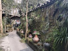 -青城甲(青城山店)