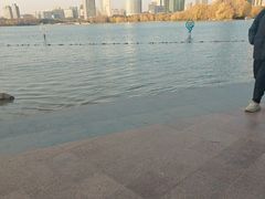 -天鹅湖体育公园
