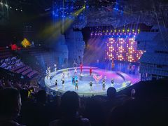 -重庆国际马戏城