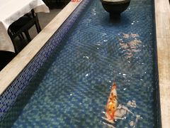 -盆满钵满·国家非遗传承(云台店)