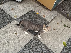 -盒马鲜生(杭州运河上街店)