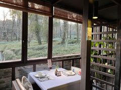 靠窗位-野蔓果·山野菜(西湖景区·龙井茶田店)