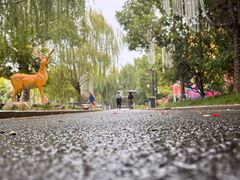 -申阿婆·上海菜(新桥店)