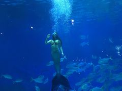 -烟台海昌鲸鲨海洋公园