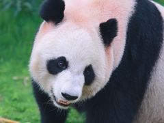 -杭州野生动物世界