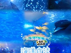 -太平洋海底世界