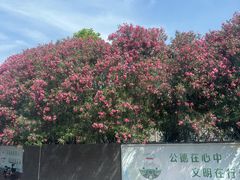 -许驸马府