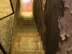 -圣母百花大教堂穹顶