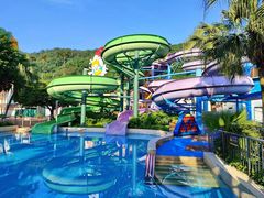 -重庆海昌加勒比海水世界