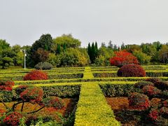 -洛阳市隋唐城遗址植物园