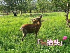 -良渚古城遗址公园