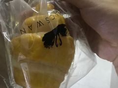 高知青柚-BLACKSWAN黑天鹅(环球店)