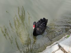 -南翠屏公园