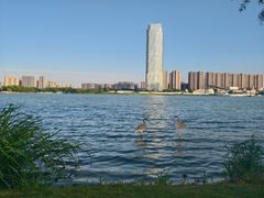-高子水居