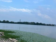 -东湖落雁景区