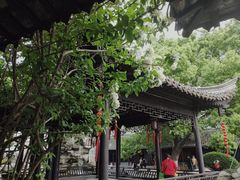 -口岸雕花楼