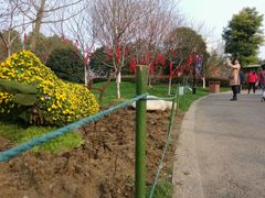android_upload_pic-圩墩遗址公园
