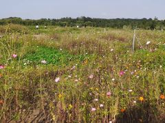 -汉长安城未央宫国家考古遗址公园