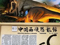 -中国西峡恐龙遗迹园