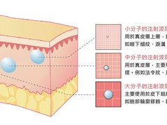 -静安公园(静安寺街道)