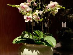 -拾溪餐厅·包厢(杭州千禧度假酒店)