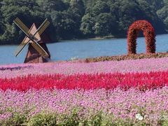 -广州市石门国家森林公园