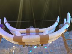-野人部落(中街店)