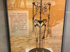 -天津自然博物馆