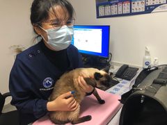 -北京派仕佳德动物医院·超导核磁·CT·神经科·骨科·内外科·急重症管理中心