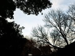 -虎跑公园