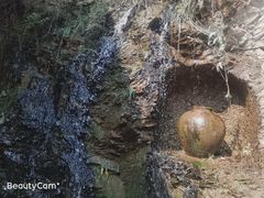 -爱新觉罗皇家博物院