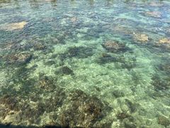 -三亚西岛海洋文化旅游区