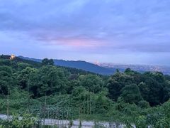 -金水泊山庄·花椒鸡(铁山坪店)