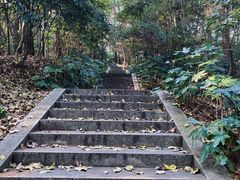 -岳麓山风景名胜区