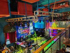 -Famous肥猫墨西哥音乐餐吧(五棵松华熙LIVE店)