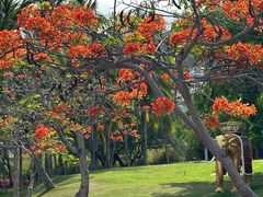 -三亚南山文化旅游区