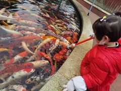 -国色天乡三期陆地乐园
