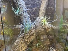 -Rabbit Cafe私房西餐甜点咖啡(栖霞路店)