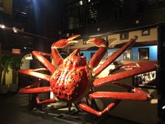 -蟹之国·精品蟹料理(极地店)