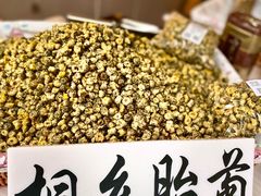 -乌镇景区