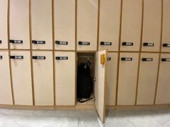 -星河湾温泉洗浴酒店