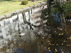 -北海道厅旧本厅舍(旧本庁舎)