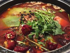 -眉州东坡(中关村店)